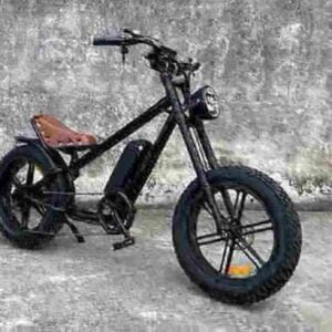 Best Value Fat Tire Electric Bike manufacturer