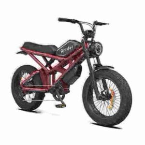 Big Fat Tire Electric Bike manufacturer