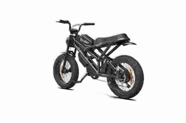 Big Tyre Electric Bike manufacturer