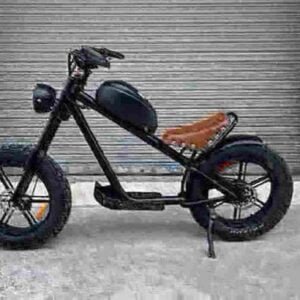 big wheel electric bike manufacturer