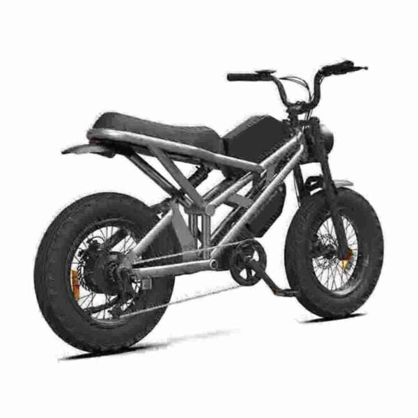 China Electric Bikes manufacturer