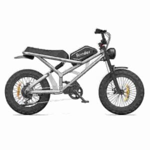 Chinese Electric Bike manufacturer