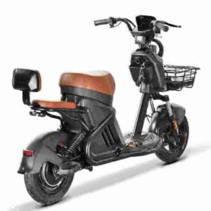 Citycoco Electric Bike manufacturer