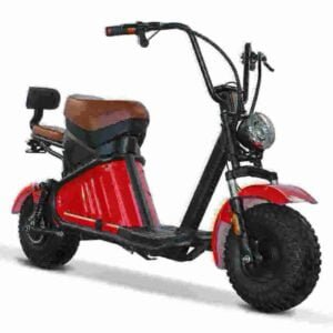 Citycoco Electric Chopper manufacturer