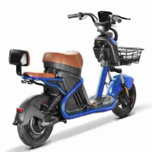 Citycoco Electric Scooter 3000w manufacturer