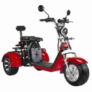 Citycoco Fat Tire Scooter manufacturer