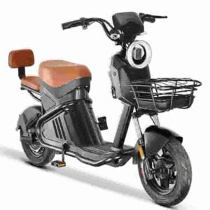 Citycoco Golf Scooter manufacturer