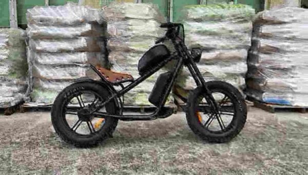 Compact Electric Bike manufacturer