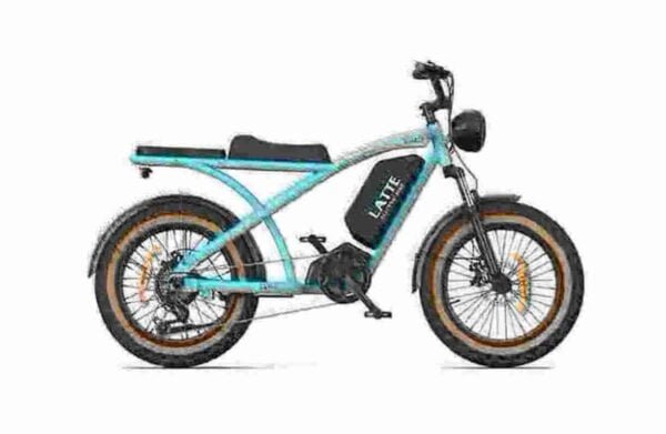 Compact Folding Electric Bike manufacturer