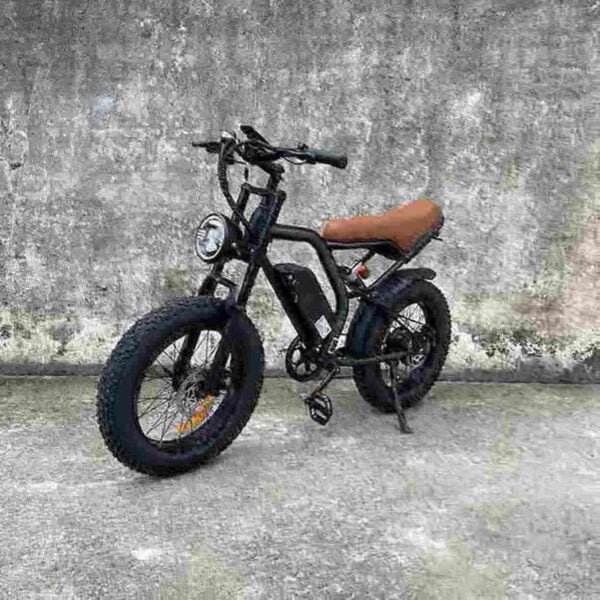 Custom Electric Bike manufacturer