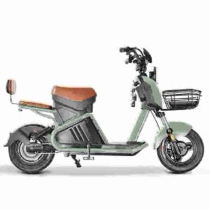 Custom Electric Motorcycle manufacturer