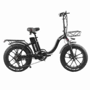 Dirt Bike Electric Adult manufacturer