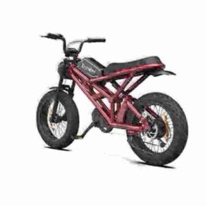 E Bike Manufacturers manufacturer