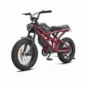 E Bike manufacturer