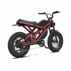 Ebike Fat Bike manufacturer