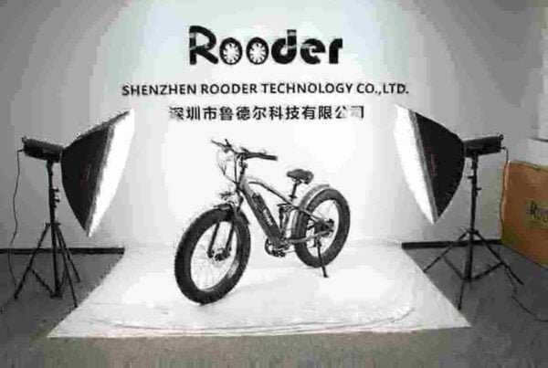 Ebike Folding Electric Bike manufacturer