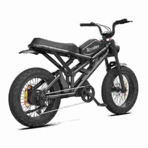 Eco Electric Folding Bike manufacturer