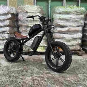 electric bicycle company manufacturer