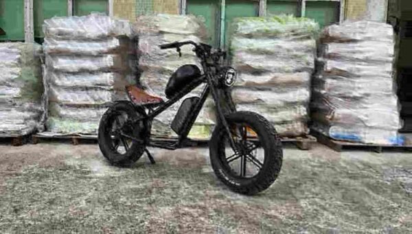electric bicycle company manufacturer