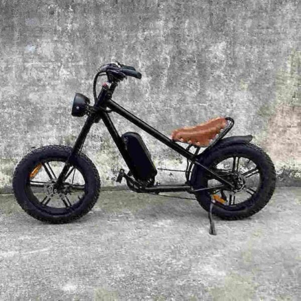 Electric Bike Adult manufacturer