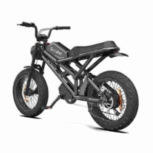 Electric Bike Fat Tire 750w manufacturer