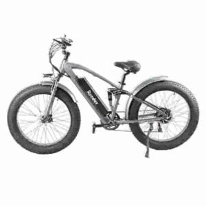 Electric Bike Folding Best manufacturer