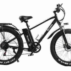 Electric Bike France manufacturer