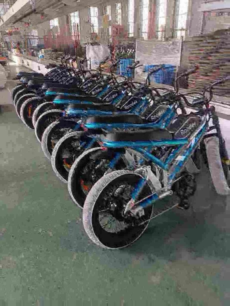 electric bike range manufacturer