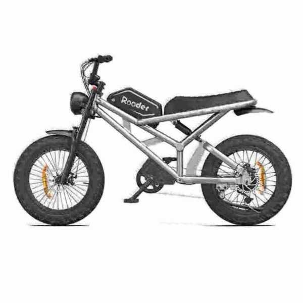 Electric Bike With Thick Tyres manufacturer