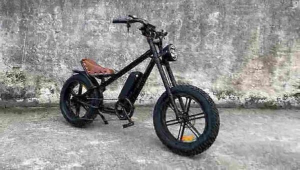 Electric Bike With Wide Tires manufacturer