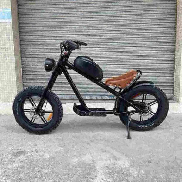 Electric Bikes Ebike Bicycles manufacturer