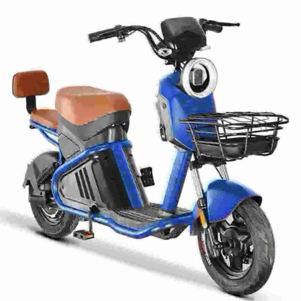 Electric Chinese Motorcycle manufacturer