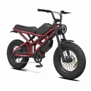 Electric Fat Bicycle manufacturer