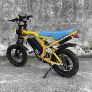 Electric Fat Bike Cycle manufacturer