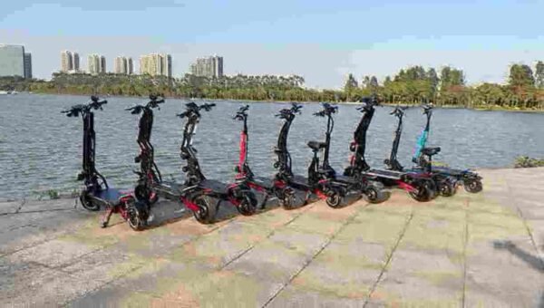 Electric Folding Scooter Adult manufacturer