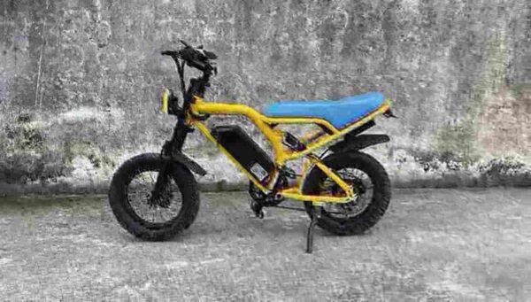 Electric Moped Dirt Bike manufacturer