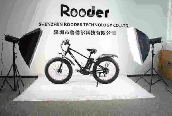 Electric Motorized Bicycle manufacturer