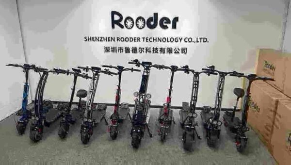 Electric Scooter 10 Inch Wheels manufacturer