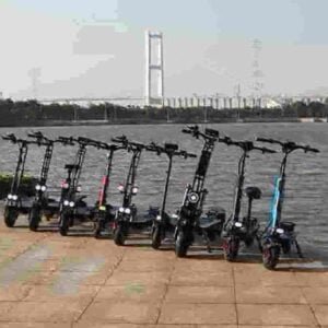 Electric Scooter 10 Inch manufacturer