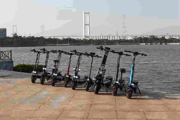Electric Scooter 10 Inch manufacturer