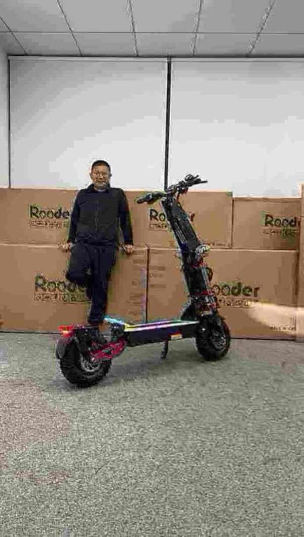 Electric Scooter 3 Wheel Adult manufacturer