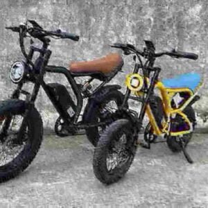 fastest electric bicycle manufacturer