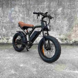 Fastest Electric Fat Tire Bike manufacturer