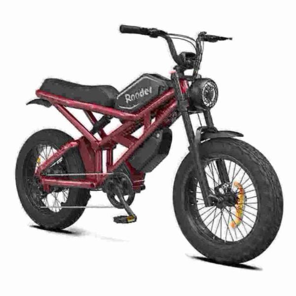 Fat Bike Ebike manufacturer
