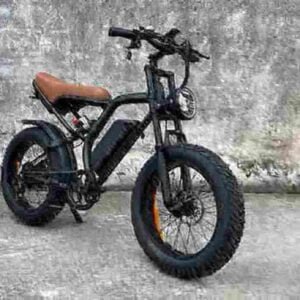 Fat Tire Bike Ebike manufacturer