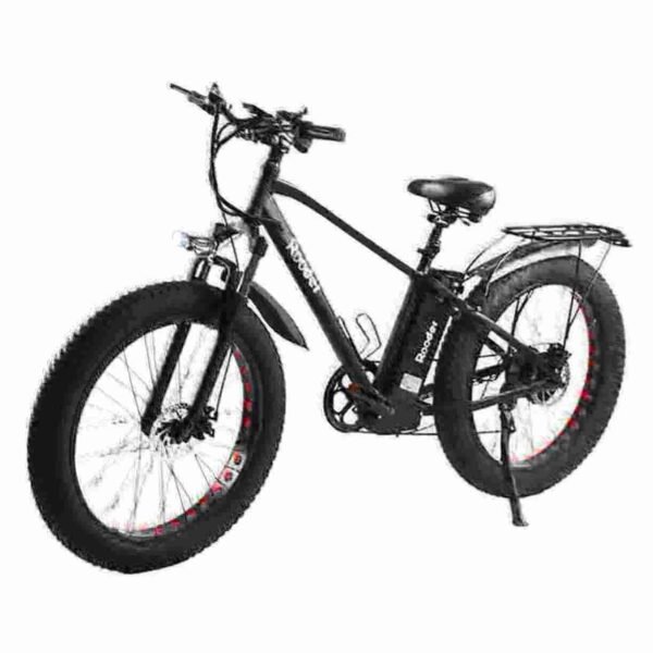Fat Tire Electric Bicycle manufacturer