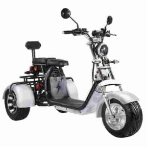 Fat Tire Electric Motorcycle manufacturer