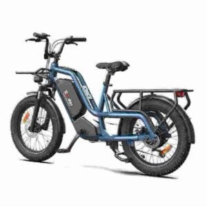 Folder Electric Bike manufacturer