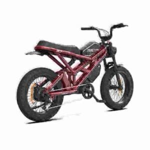 Folding Electric Assist Bike manufacturer