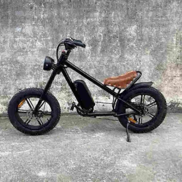 Folding Electric Bicycle For Sale manufacturer